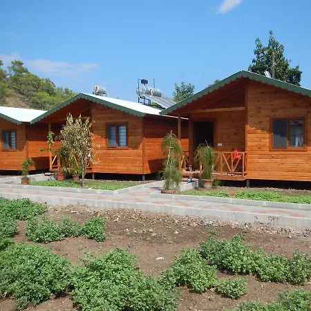 Kocakaya Bungalow Homestay *